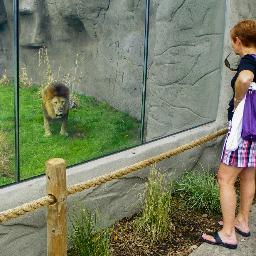 ... meant using extra strong safety glass in the clear barrier screen.