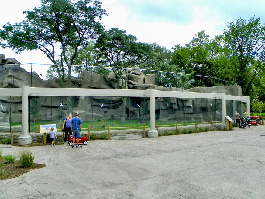 The lions enclosure's 17-ft-high glass walls include 60 panels of laminated glass starting near ground level, mounted using horizontal line supports at the top and bottom.