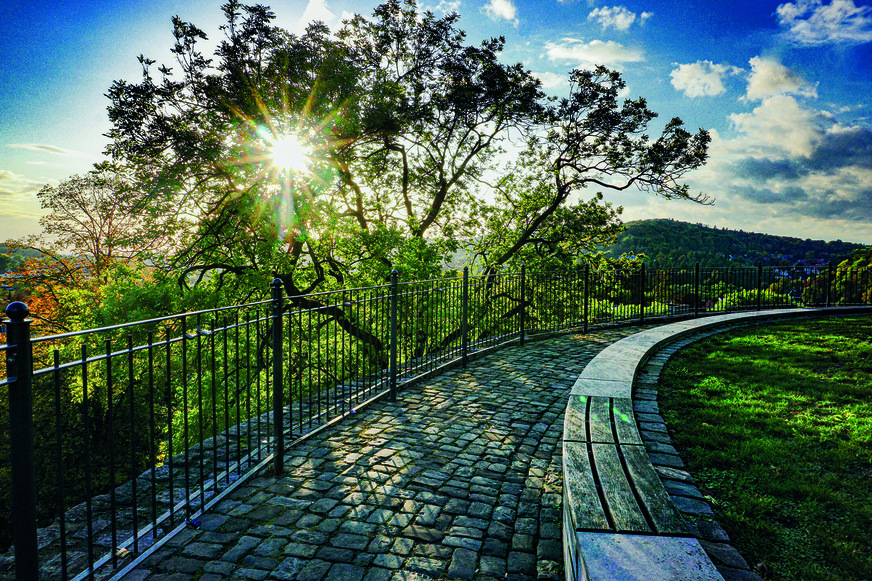 In defining clear targets for reducing carbon emissions, Schüco is taking concrete steps towards meeting the 1.5-degree limit set out in the Paris Climate Accord.