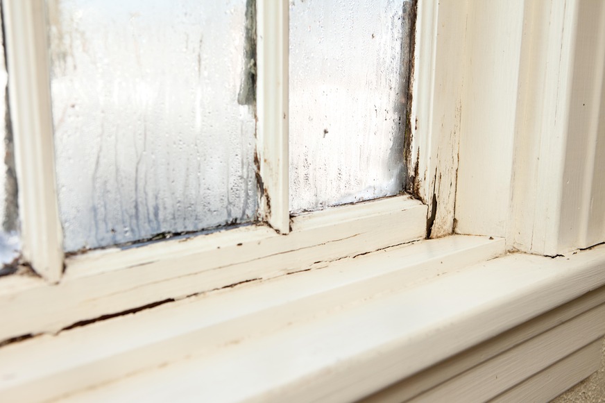 An important factor where comfort and health are concerned is the avoidance of condensation and mould: Moisture gathers at the coldest point in the room – usually around the edge of the glass.