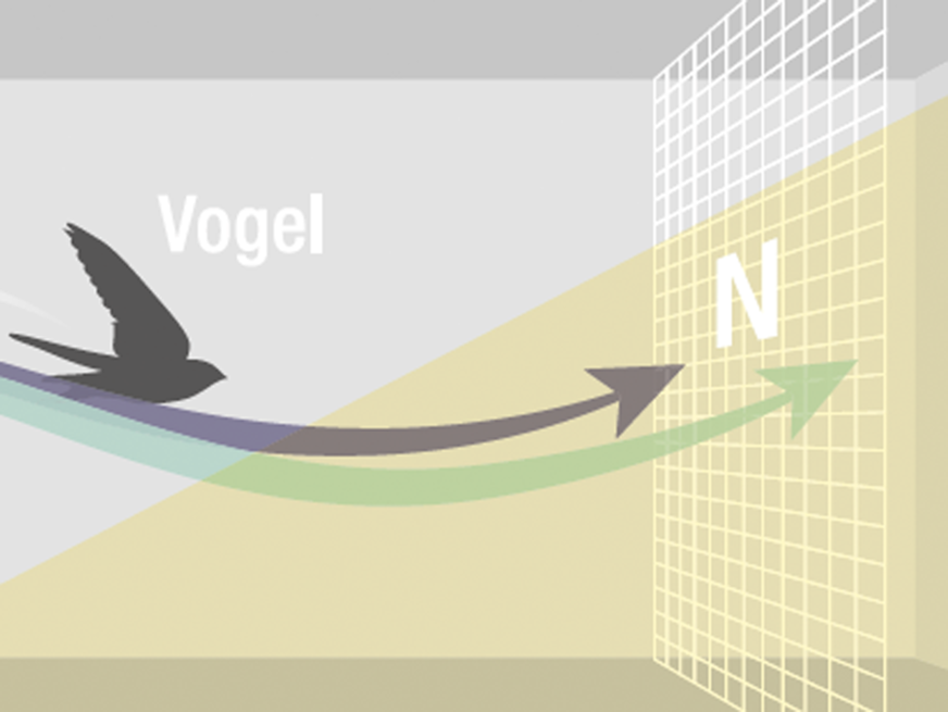 The approach test checks which birds take the path towards control pane K - and thus recognise the Ornilux glass as an obstacle. A special net (N) stops the birds in time and ensures that they do not injure themselves during the test.