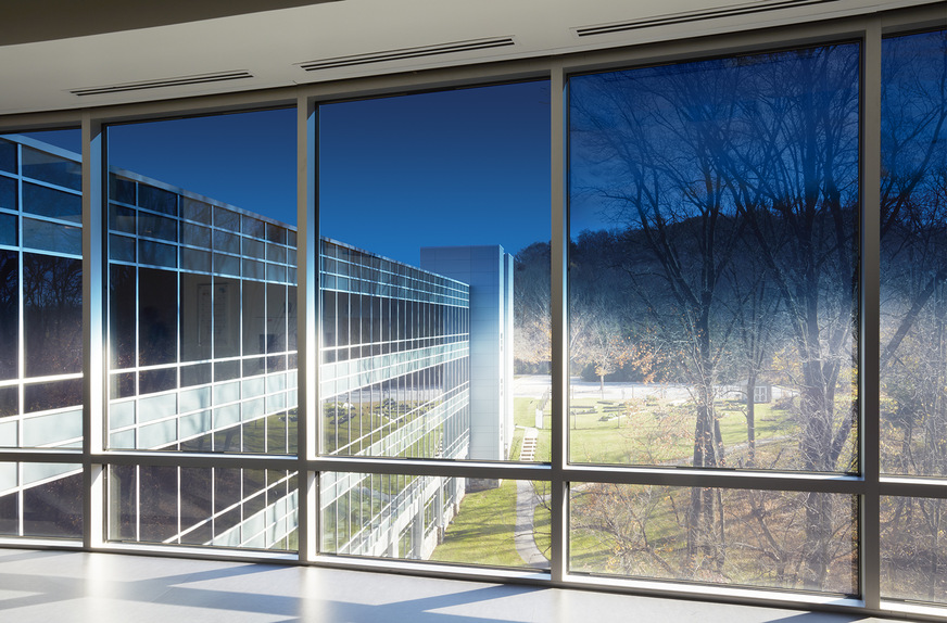 Electrochromic glass is able to automatically change its tint throughout the day to adapt to environmental conditions.