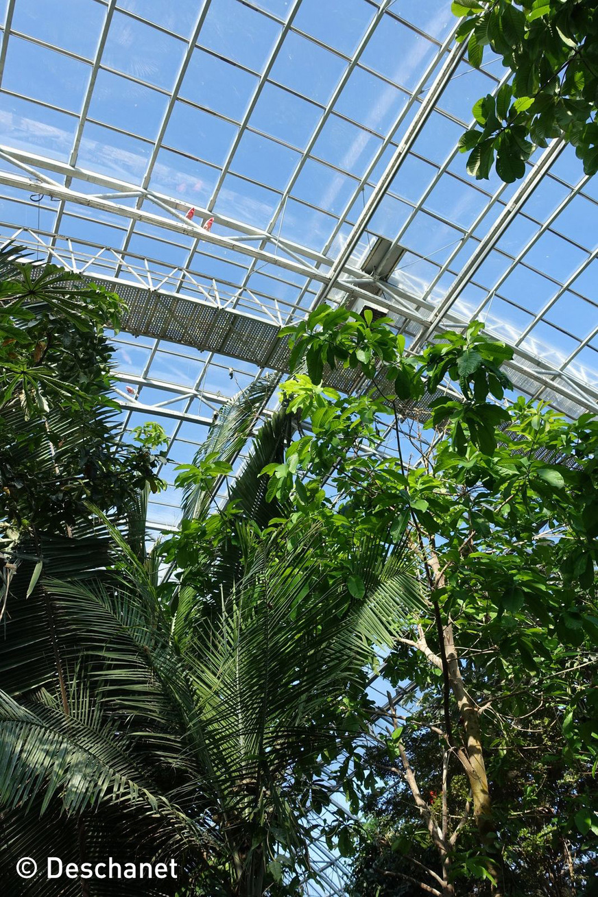 Rectangular, triangular and trapezoidal glasses form the curvature of the 