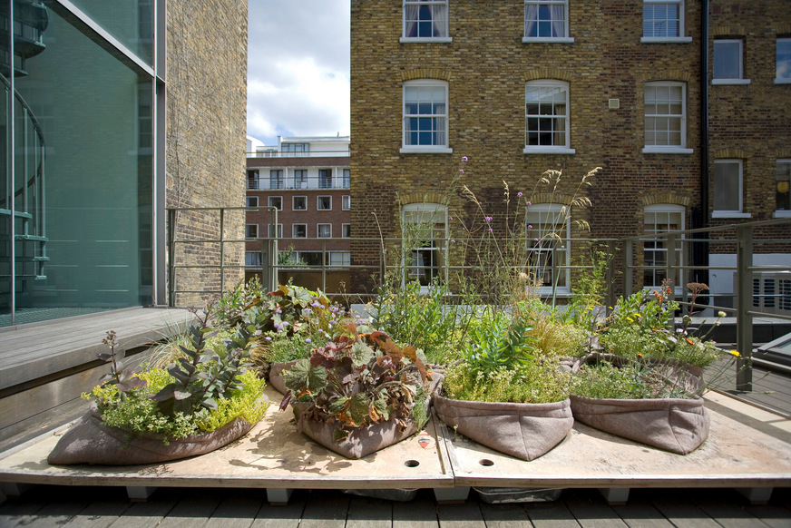 Arup’s “Pocket Habitat” is a miniature solution that brings immediate improvements through shading and evaporative cooling.