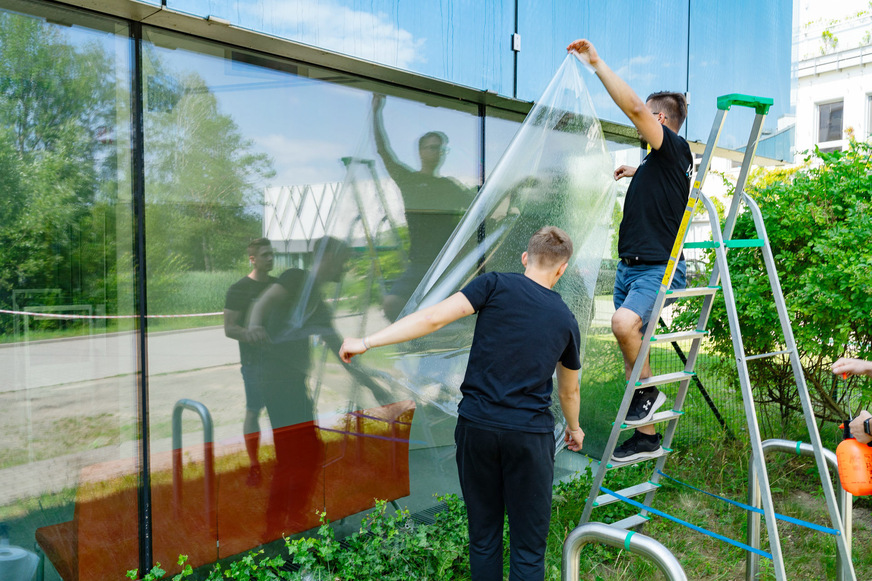 Installation of BirdShades films for a field study.