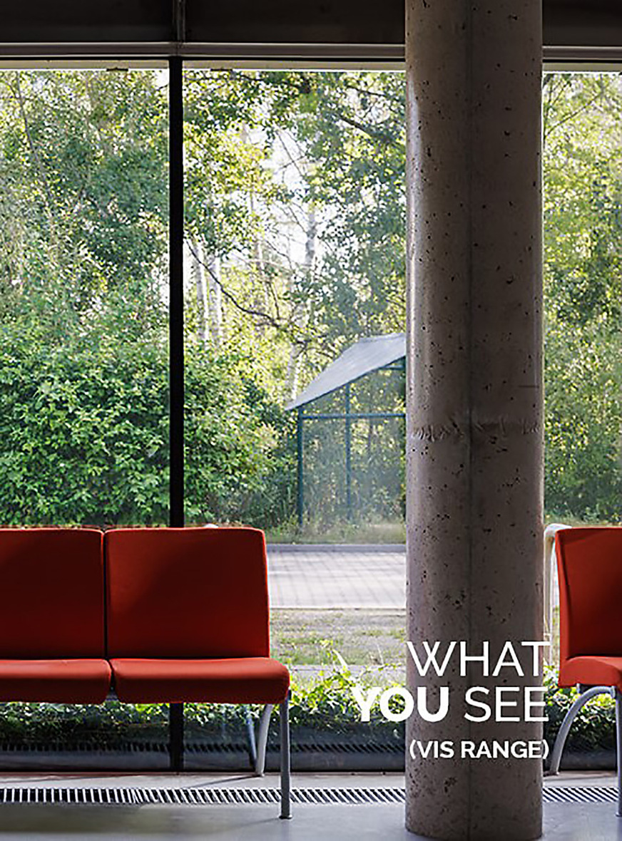 This is how humans see through glass with BirdShades films...