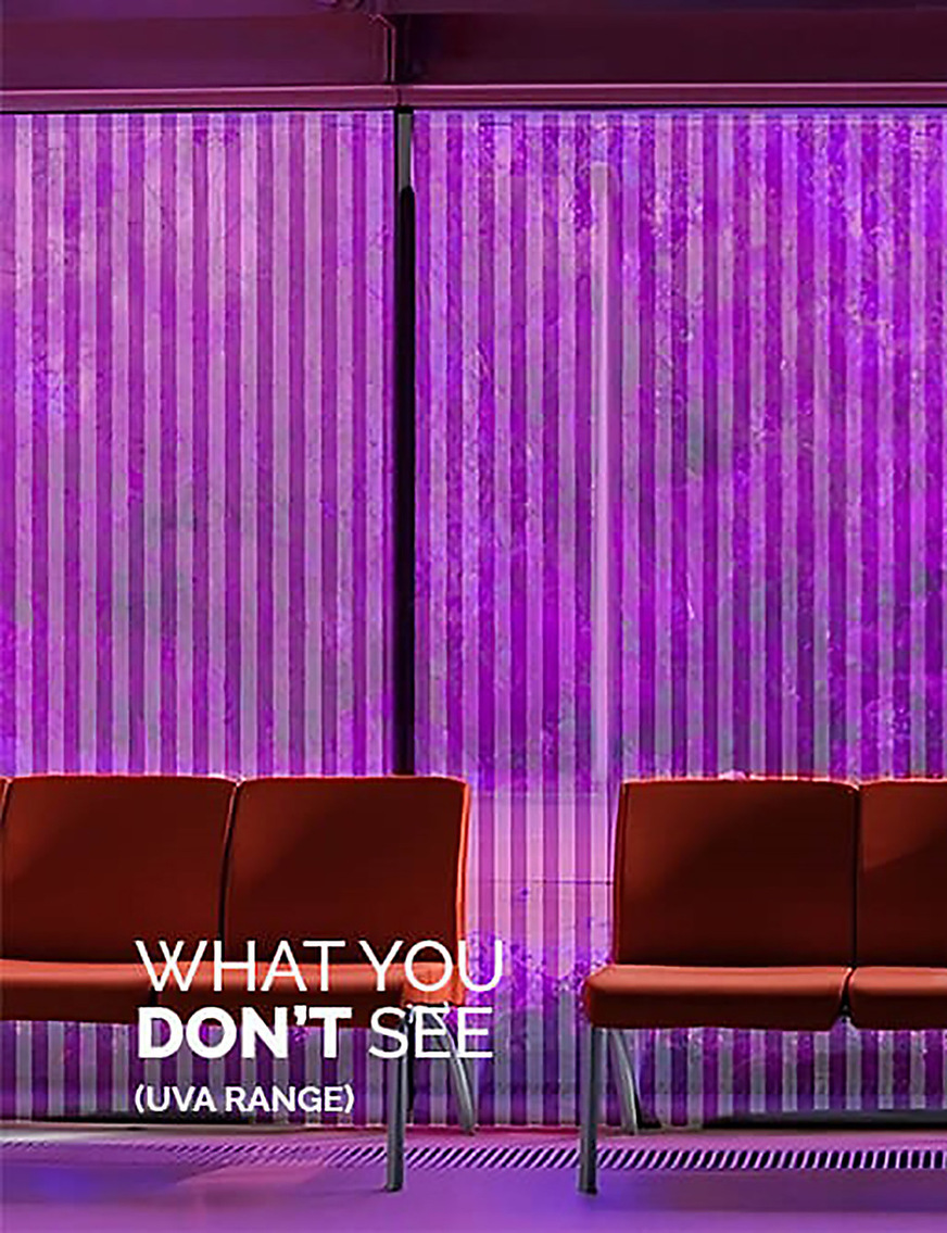 ...and this is how birds see a glass pane equipped with BirdShades.