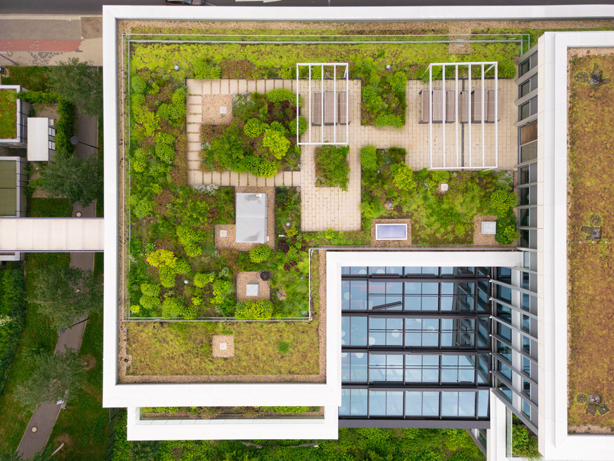 Zusatznutzen für die Beschäftigten: Der begrünte Dachgarten unterstützt eine angenehme und gesundheitsfördernde Arbeitsumgebung.