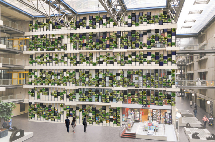 Providing a healthy, clean and visually attractive indoor environment for patients, employees, students and visitors alike.