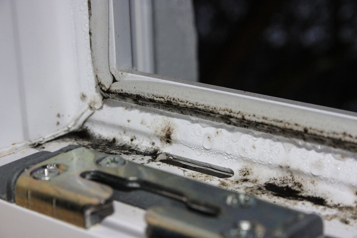 Mouldy window casing on a plastic element