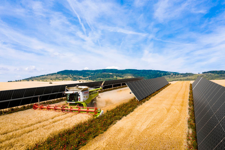 Combining PV generation with agriculture enhances the yield and the biodiversity of the land that the solar park is on. - © ByWa r.e.
