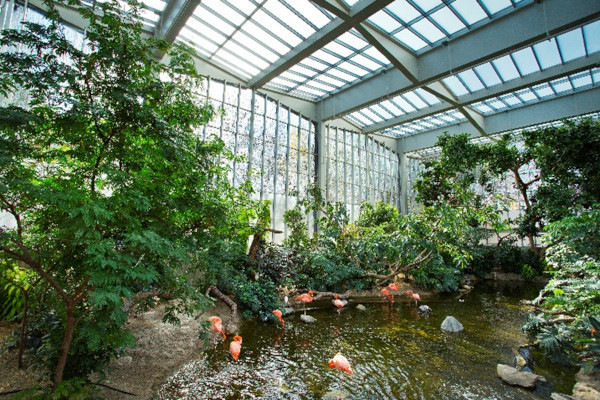The National Aviary’s Wetlands Habitat.