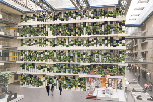 Providing a healthy, clean and visually attractive indoor environment for patients, employees, students and visitors alike.