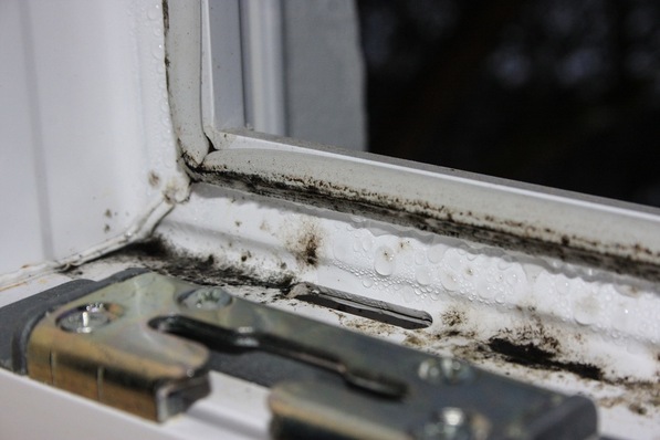 Mouldy window casing on a plastic element