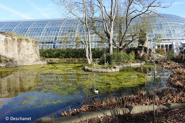 The first Deschanet project with Super Spacer: Tropical House at the Zoo de Vincennes.