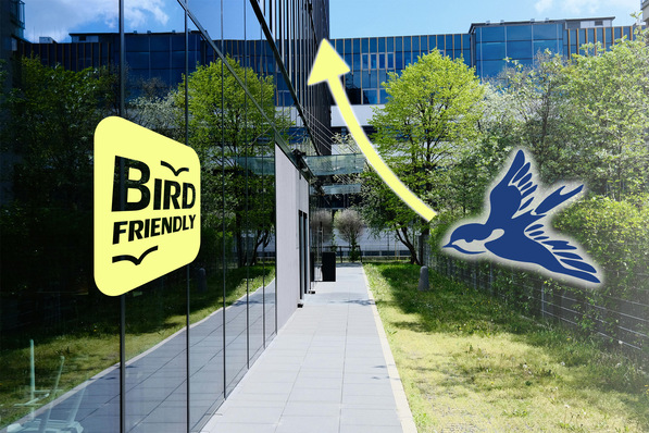Bird protection for facade glass can now also be retrofitted.